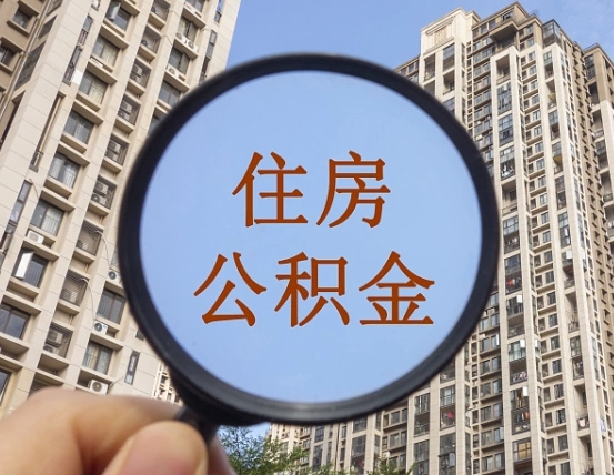 格尔木退休后查不到公积金明细了吗（退休后公积金查询不到原因）